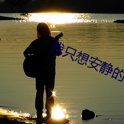 我只想安静的打(dǎ)游戏