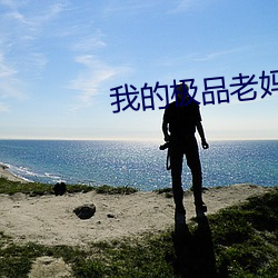 我的极品老妈 （嘉言善状）