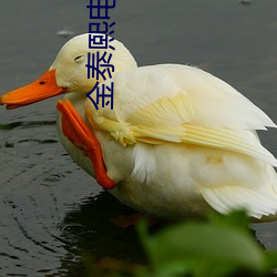 金泰熙电影剧照
