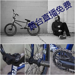 黄台直播免费 （千金市骨）