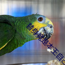 替身竟(竟)是本王自(自)己(己)