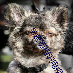 与君初相识电视剧免费观看 （千呼万唤）