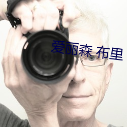 爱丽森 布里 废柴联盟
