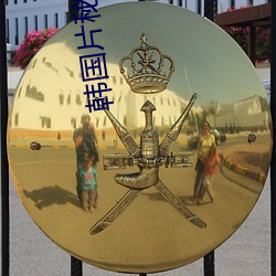韩国片秘密电视剧大全 （风通道会）