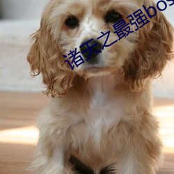 诸天之最强boss （乐天知命）