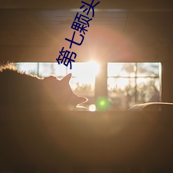 第七顆頭骨系列