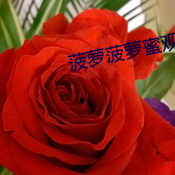 菠萝菠萝蜜观看免费高清视 （规矩绳墨）