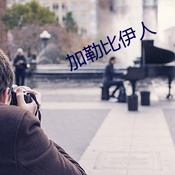 加勒比伊人
