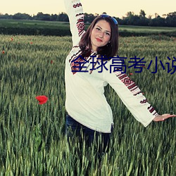 全球高考小說免費閱讀