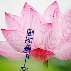 国品精产一区二区