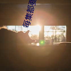 每集都要親的電視劇