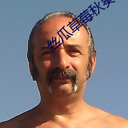 丝瓜草莓秋(qiū)葵污下(xià)载WWW新