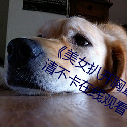《美(美)女扒(扒)开胸(胸)罩秘(秘) 露(露)出奶头直播(播)》高(高)清(清)不卡在线观(觀)看