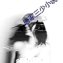唐家三少小说
