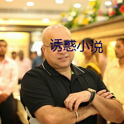 诱惑小说