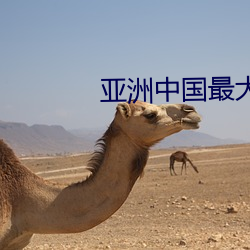 亚洲(洲)中国最大AV网站