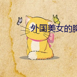 外国美女的胸
