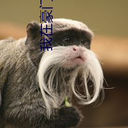 我在豪(háo)门(mén)当咸(xián)鱼