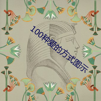 100种爱的方式图示
