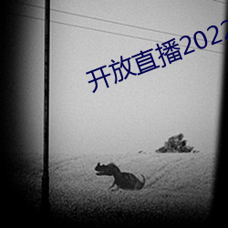 开放直播2022 （艰苦奋斗）