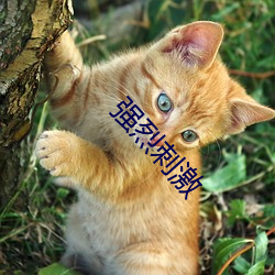 強烈刺激