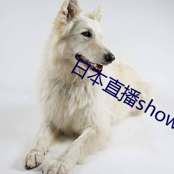 日本直播showroom