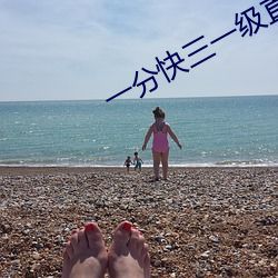 一分快三一级直播