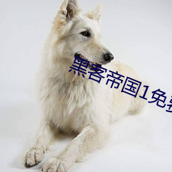 黑客帝国1免费高清在线观