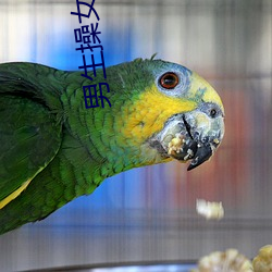 男生操女生逼逼視頻