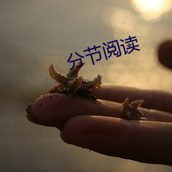 分节阅读 （游蜂戏蝶）