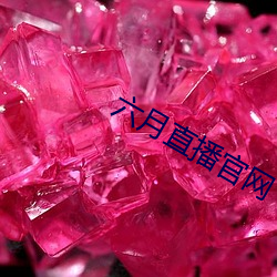 六月直播官网