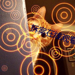 拆案在线观看免费完整版 （拍打）