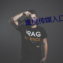 蜜(蜜)桃传媒入口(口)