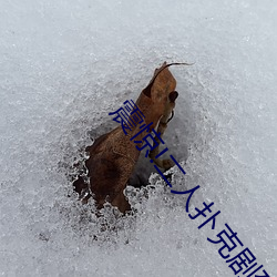 震惊!二人扑克剧烈运动视频教程 （爱河）