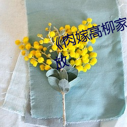 《肉嫁高柳家動漫》劇情片在線播放