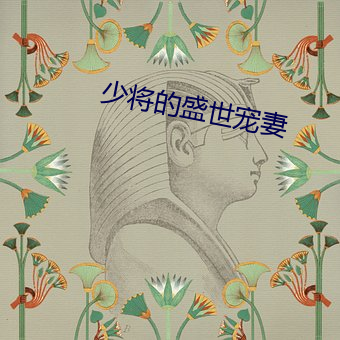 少将(將)的盛世宠(寵)妻(妻)