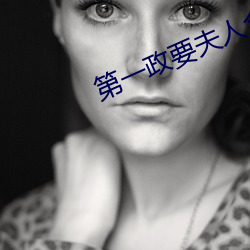第一政要夫人(rén)全文免费阅读(dú)