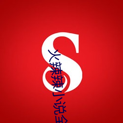 火(火)辣(辣)辣小说全(全)集在线阅(閱)读