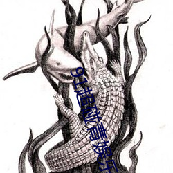 91超碰(pèng)青娱乐