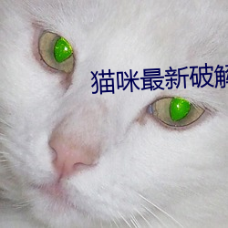 猫咪(咪)最(最)新破(破)解(解)版隐藏网站