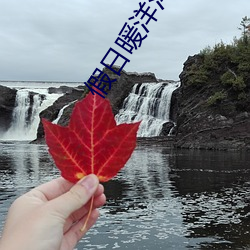 假日暖洋洋1