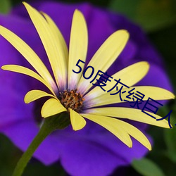 金年会 | 诚信至上金字招牌