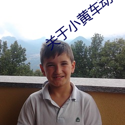 关于小黄车动作描写的细腻