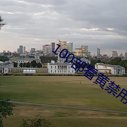 100部看黄禁用免费小说 （再犯）