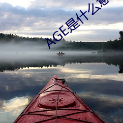 AGE是什么意思 （入耳）