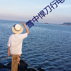 雪中悍(悍)刀(刀)行电视剧(劇)免费观看