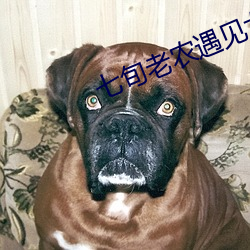 七(七)旬老(老)农遇(遇)见女鬼沈(沈)樵免费看