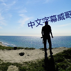 中(中)文字幕威哥视(視)频