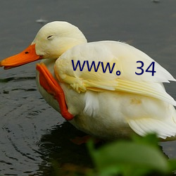 www。34