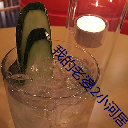 我的老婆2小河居